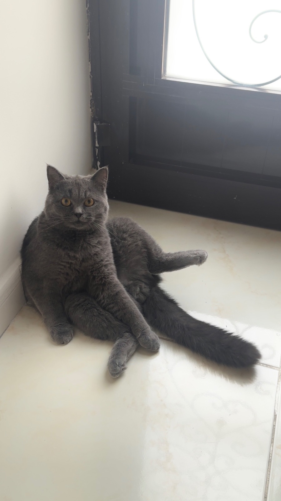 Tom