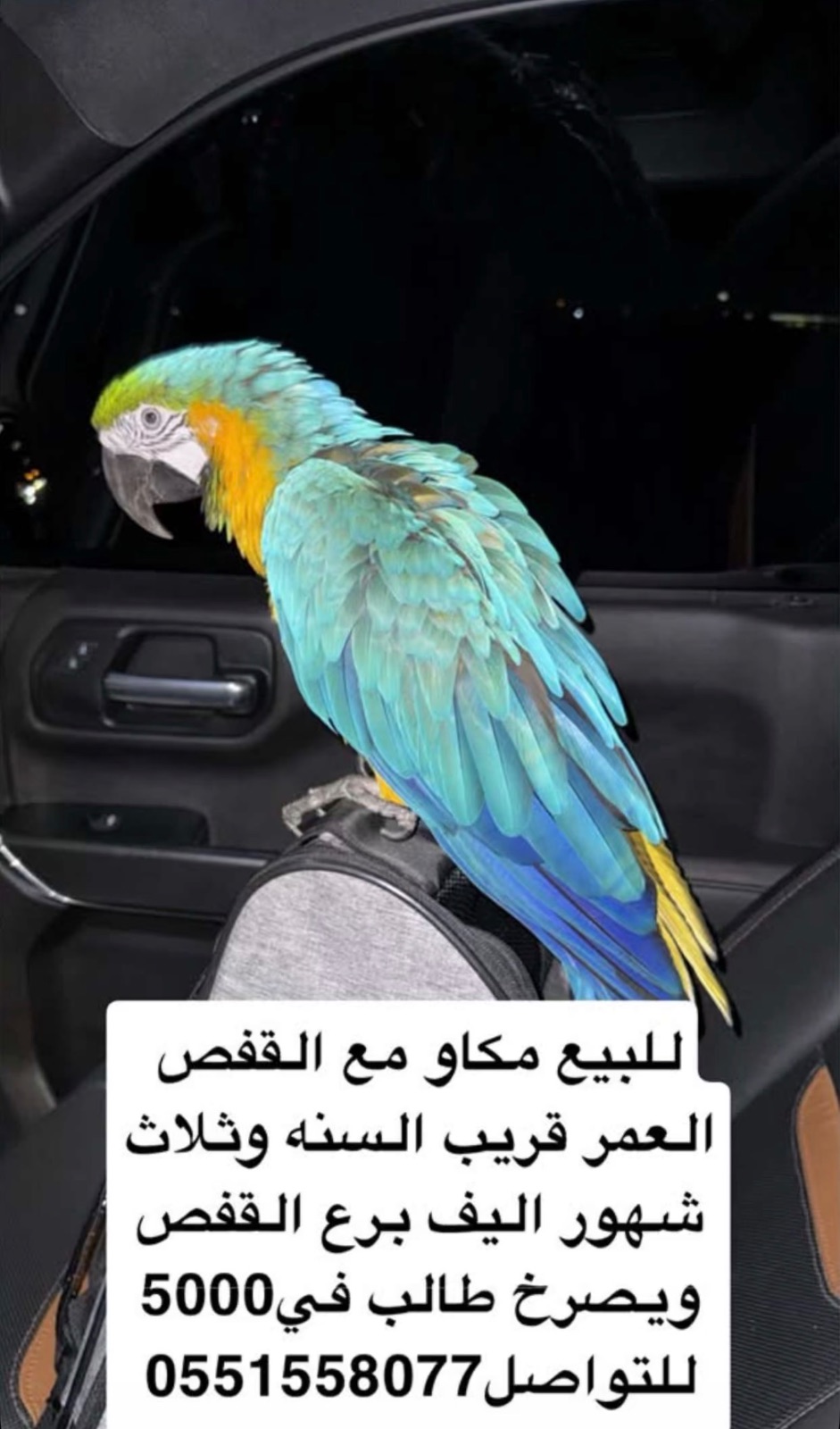 مكاو