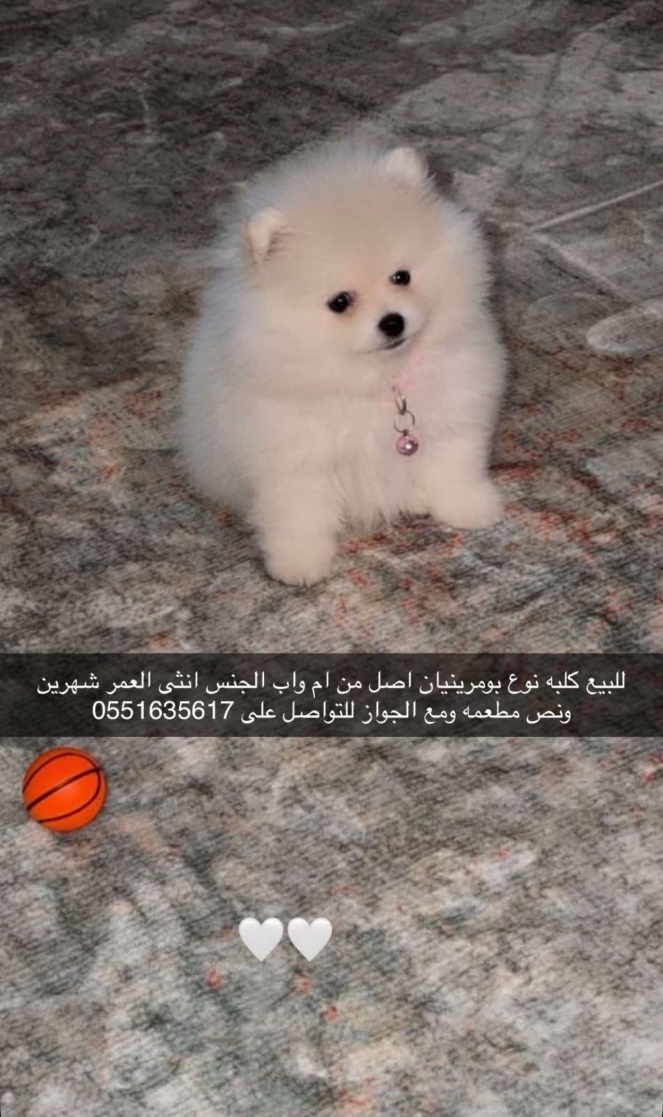 بومرينيان
