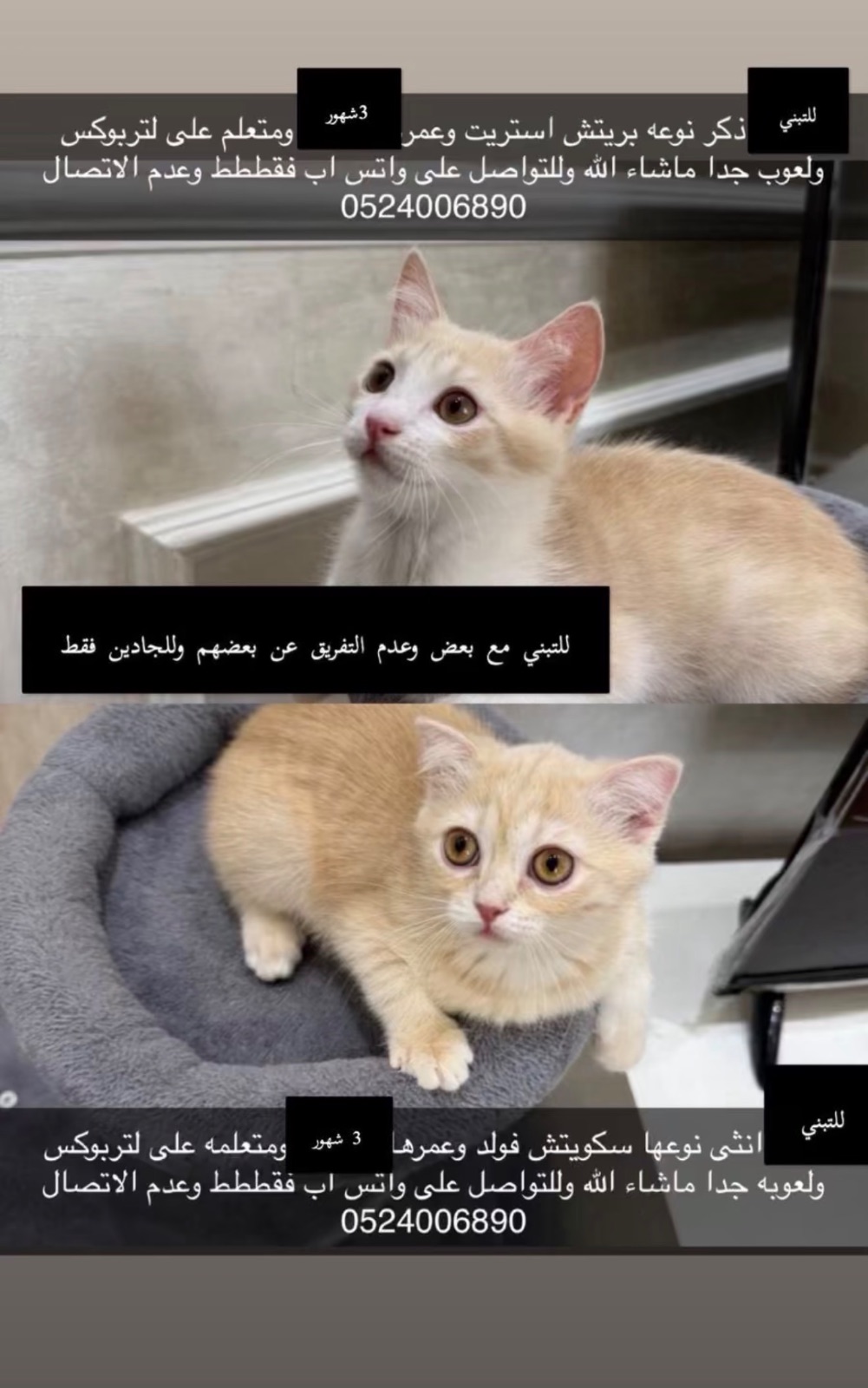 لتبني مع بعض و عدم التفرق