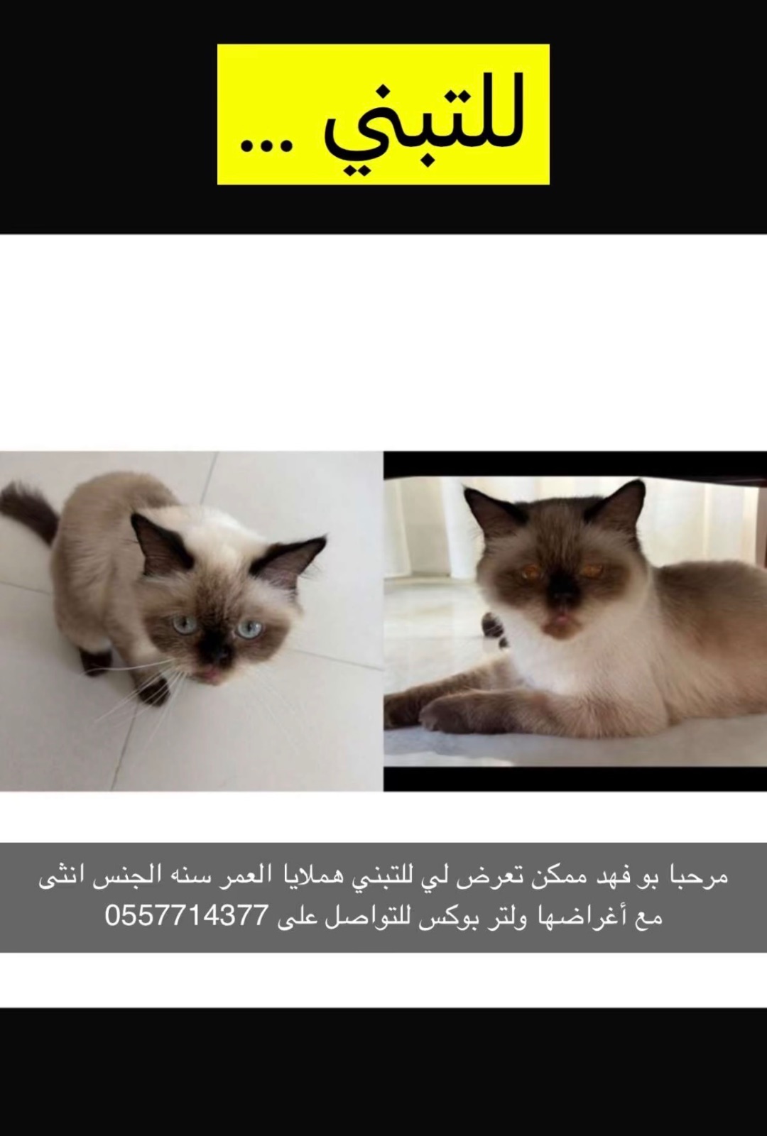 للتبني هملايا